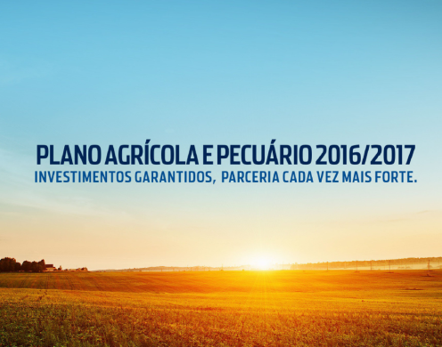 Plano Agrícola e Pecuário  2016/2017