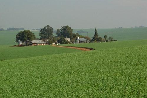 Começa o prazo para declarar o ITR