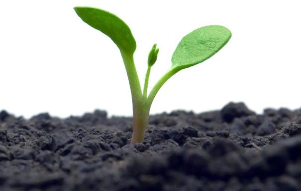 Assessoria Ambiental